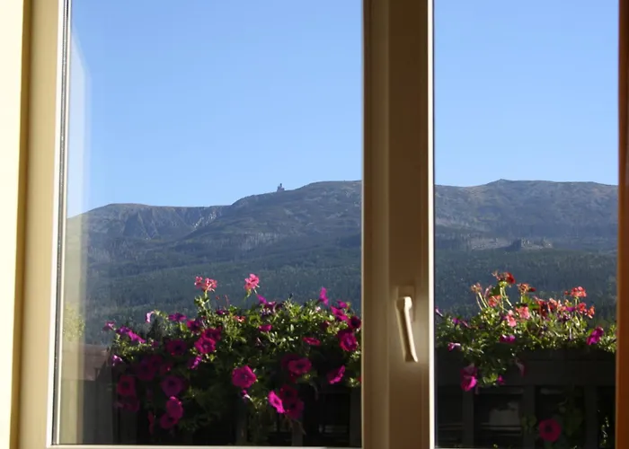 Bed & Breakfast Orchidea