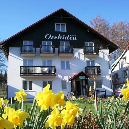 Orchidea Szklarska Poręba