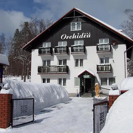 Orchidea Szklarska Poręba