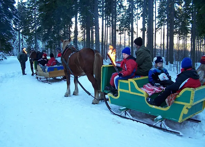 Bed & Breakfast Orchidea Szklarska Poręba