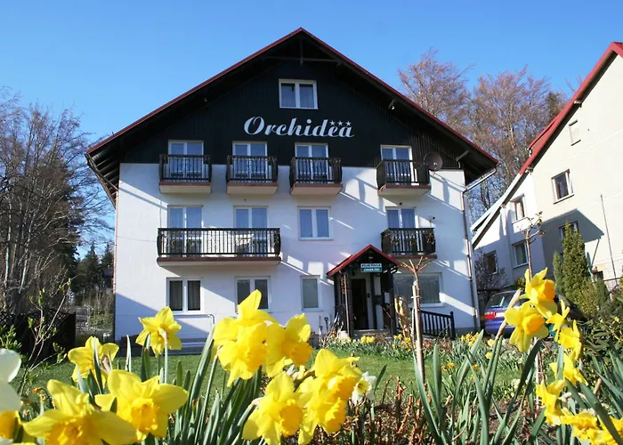 Orchidea شكلارسكا بوريبا